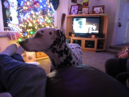 Christmas eve